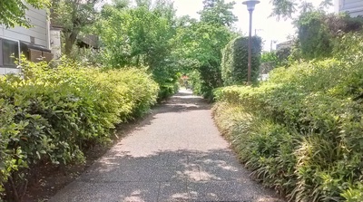 2013-05-14 12.55.06.jpg